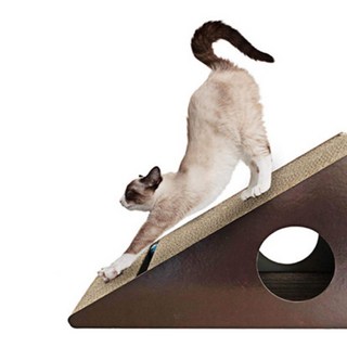 도트캣 빅슬로프 스크래쳐