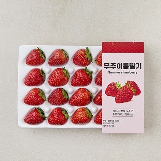 무주 여름 딸기, 1개, 300g(24과내)