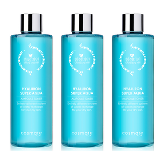 3. 청정미인 히아루..