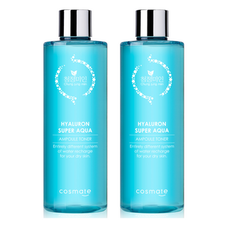 1. 청정미인 히아루..