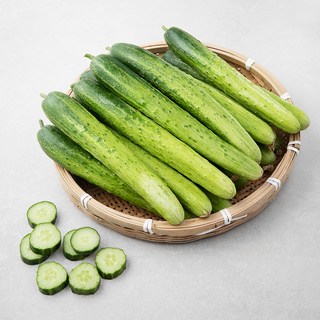 피클&오이지용 다다기오이, 20입, 1봉
