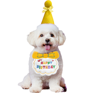 마르벨라 반려동물 멍냥이 생일파티 스카프 + 모자 세트 Free, 옐로우, 1세트