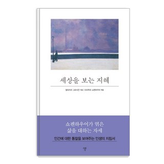 세상을 이해하는 지혜: 자화상, 발타자르 그라시안 지혜의투영특전
