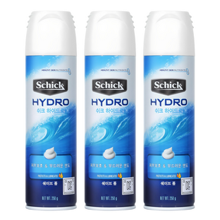 쉬크 하이드로 모이스춰라이징 쉐이브 폼