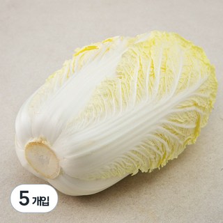 국내산 손질 배추, 1개입, 5개