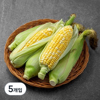 국내산 초당옥수수(14cm), 5개입, 1개