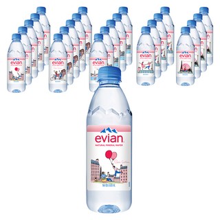 에비앙 미네랄워터, 500ml, 24개