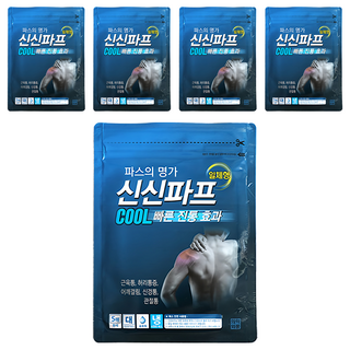 신신파스 신신파프 COOL 파스, 5개입, 5개