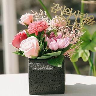 4. 피나 카네이션 ..