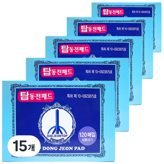 대전탑산업 탑동전패드, 15개