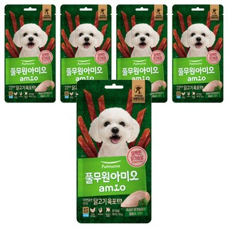 풀무원아미오 자연담은 간식 닭고기 육포 칼슘 PLUS, 닭가슴살, 50g, 5개