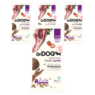 닥터독 시니어 강아지 건식사료, 양, 250g, 4개