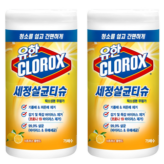 크로락스 세정살균티슈 시트러스블렌드 75매, 2개