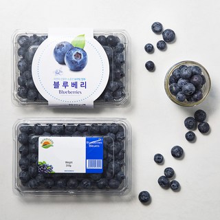 몸애조화 건조 블루베리, 200g, 1개 11 수입 블루베리, 310g, 2팩