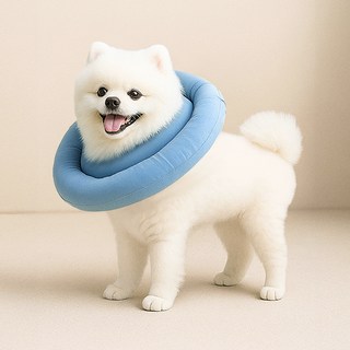 반려동물 레토 방수 초경량 넥카라 LNC-C01, 블루, 1개