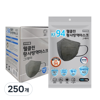 웰클린 황사방역 마스크 대형 KF94 그레이, 1개입, 250개