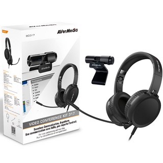 에버미디어 Video Conference Kit 317 웹캠 + 헤드셋 세트, PW313, AH313