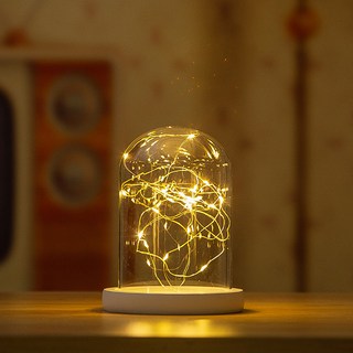 내일의공간 유리돔 무드등 일반형 소형, 네츄럴