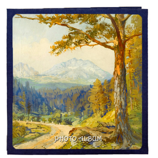 스타 터치 아트 포토 앨범 27 x 28 cm, 08 작은길 + 블랙, 60매