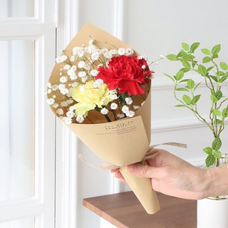 모리앤 생화 마음담은 카네이션 꽃다발, 레드