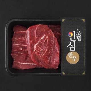 농협안심한우 한우 사태 1등급 수육 장조림용 (냉장), 1개, 600g