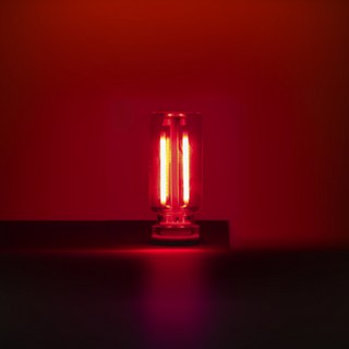 오토크루 차량 LED 유리관 로멘틱 USB 무드등 AC-L10, 레드, 1개