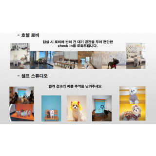 2. [제주/협재] ..