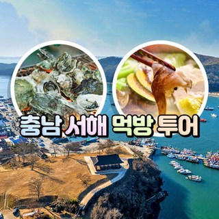 [충남] 서해 먹방투어/보령 천북굴단지+홍성 남당항 새조개축제+서산 간월도 당일여행 / 서울경기出