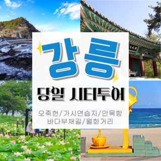 [강원] ●출발확정● [KTX]강릉 시티투어 당일 기차여행(오죽헌/바다부채길/안목항))