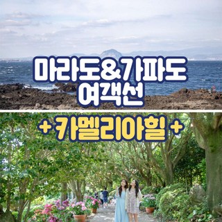 [제주] 마라도/가파도여객선+카멜리아힐