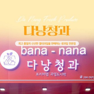 [다낭] 다낭 다낭청과