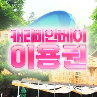 캐리비안베이 이용 모습