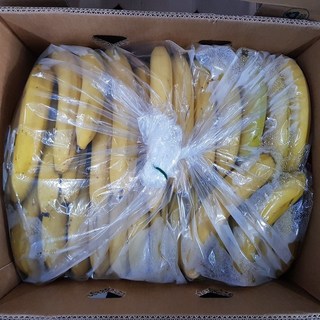 쥬스용 낱발 바나나 13kg