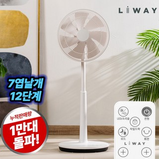 리웨이 BLDC 무소음 스탠드형 리모컨 선풍기, 사일런스 리빙형 BLDC 리모컨 선풍기