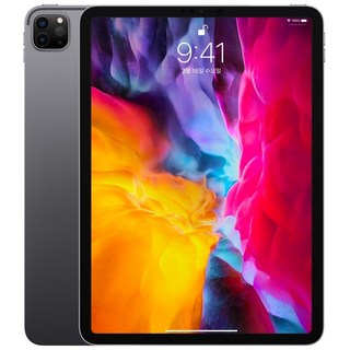 Apple iPad Pro 11 2세대, 스페이스 그레이, 128GB, Wi-Fi+Cellular
