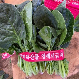 포항 영해초, 900g, 1개