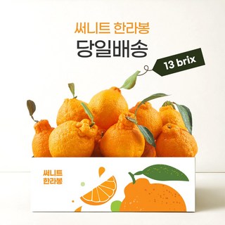 [프리미엄] 13brix 고당도 제주 써니트 한라봉 1kg/2kg/3kg 선물용, 1박스, 대과 1kg (4-5과)