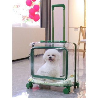 고양이 전용 유모차 원터치 폴딩 반려동물 캐링백 보낭 접이식 캐리어, 마르스 그린 사이드 도어 알루미늄 박스