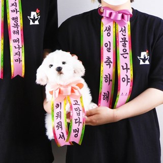 미니 강아지 화환 강아지화환 리본화환 인간화환 왕자님생일날 리본, 너 KT에서 고소한대