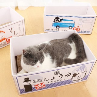 고양이 자몽 박스로 고민 해결하기