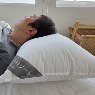 스타앤코 목편한 구스베개