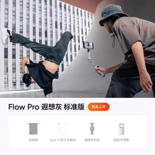 인스타 360 플로우 2 프로 AI 짐벌 스마트폰 스탠드 스마트 셀카봉 폰 거치대, 리버리 그레이 (표준)