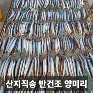 청담농수산 산지직송 프리미엄 살 꽉찬 반건조 양미리, 1개, 3팩 (60마리)