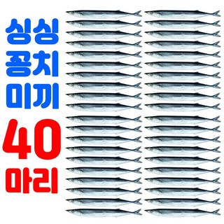 싱싱하고 사이즈 큰 낚시용 꽁치 미끼 약25~27cm 갈치낚시 선상 텐야 텐빈 생미끼 붕장어, 40개