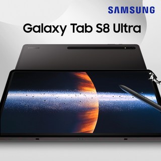 삼성전자 갤럭시탭 S8 Ultra SM-X900, 128GB, Wi-Fi