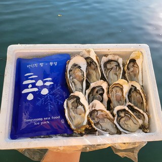 통영빛굴 생산자판매 통영굴 프리미엄 하프셀 반각굴, 1박스