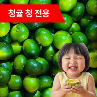 [청귤청 전용] 제주 청귤 풋귤 산지직송, 1박스, 10kg (로얄과, 실중량)