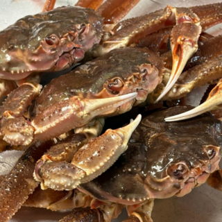 바닷간 자숙 러시아 대게 선주직송, 1개, 5kg (4-6미)