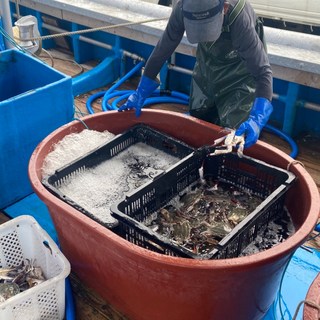 연평도 프리미엄 알베기암꽃게 해해간장게장 대사이즈4~5마리 3kg 1개