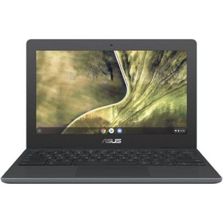 ASUS 크롬북 11.6인치 WLED 인텔 셀러론 N4000 4GB 32GB eMMC 크롬 OS 갱신, ASUS 크롬북 11.6인치 WLED 인텔 셀러론 N4, 1개